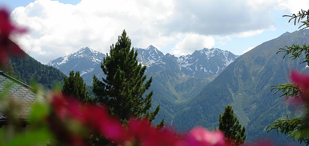 Ferienwohnung 4 Personen Alleinlage Am Wald Naehe Skigebiet Hochzeiger แยร์สเซินส์ ภายนอก รูปภาพ